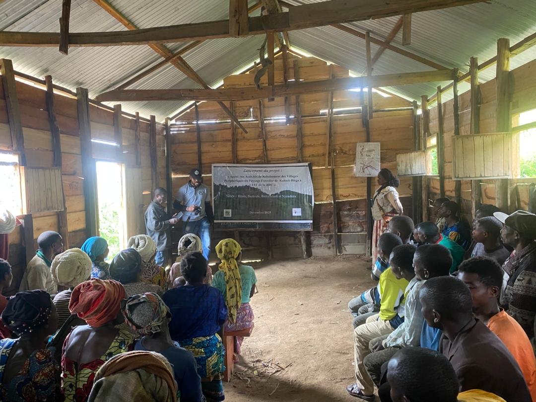 Protection des forêts