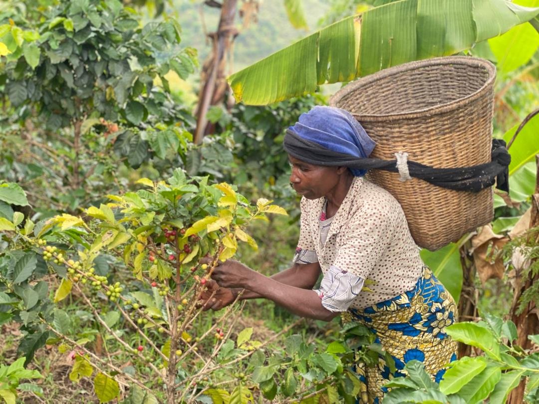 Campagne contre les VBG